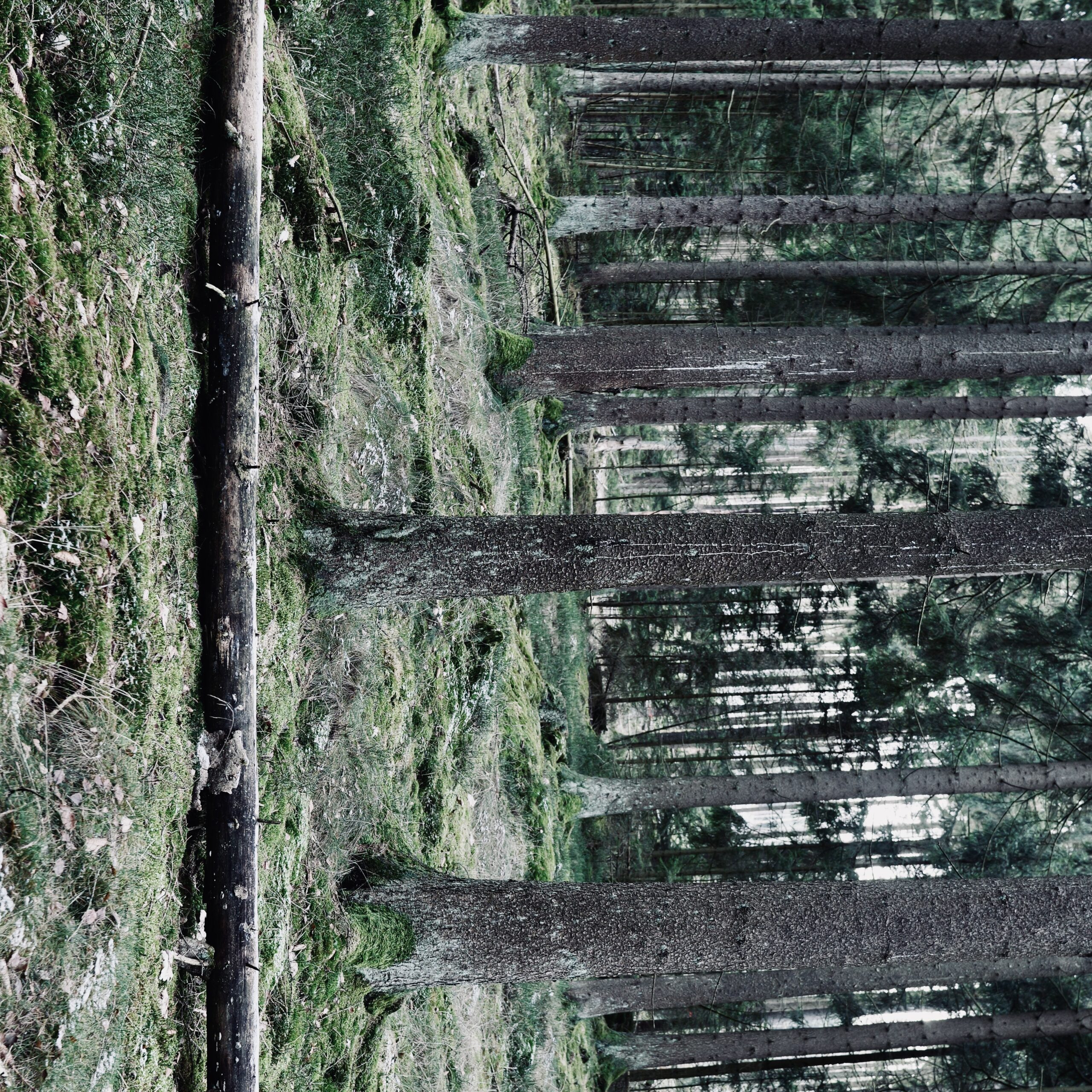 2026 – Next exhibitions